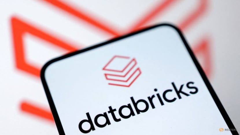 Databricks eyes over $100 billion valuation as investors back AI growth plans