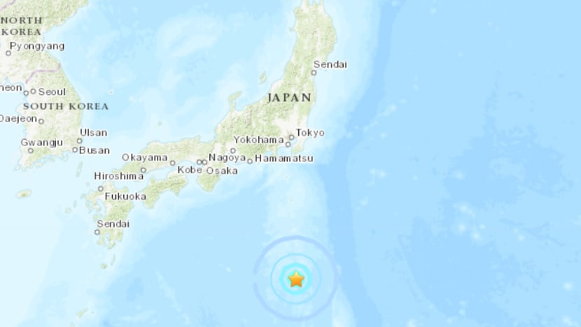 Japan's remote Izu islands hit by small tsunami after 5.9 magnitude earthquake