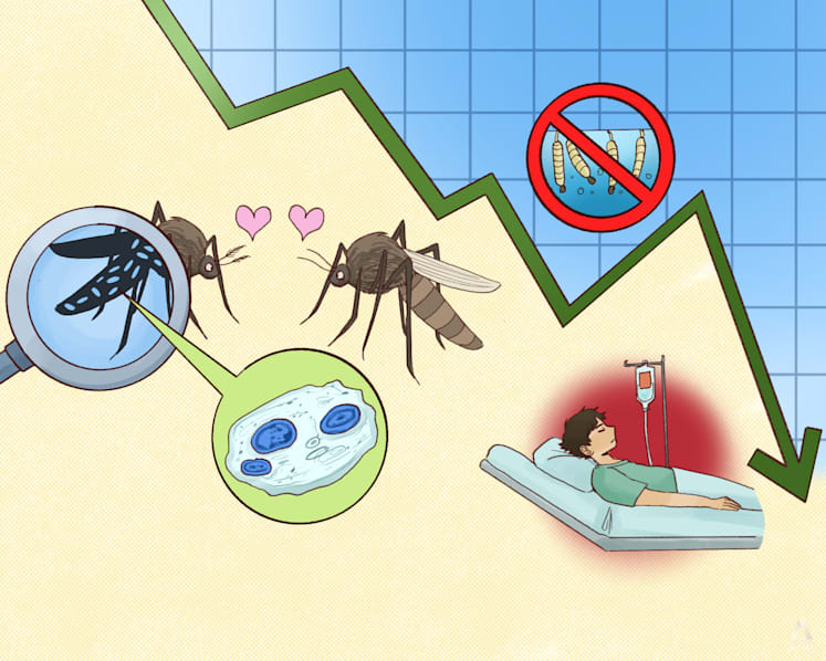 Dengue-aedes-wolbachia-mosquito-cna-today-big-read-gfx-54