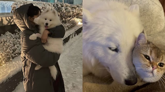 BLACKPINK Lisa宠物家族再添新成员！爱犬Lamlam初登场萌翻全网