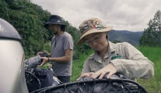 Pause With Purpose - Surviving The Wild