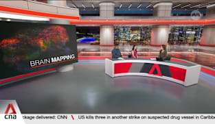 Singapore scientists build detailed map of developing human brain 