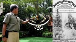 Related article image