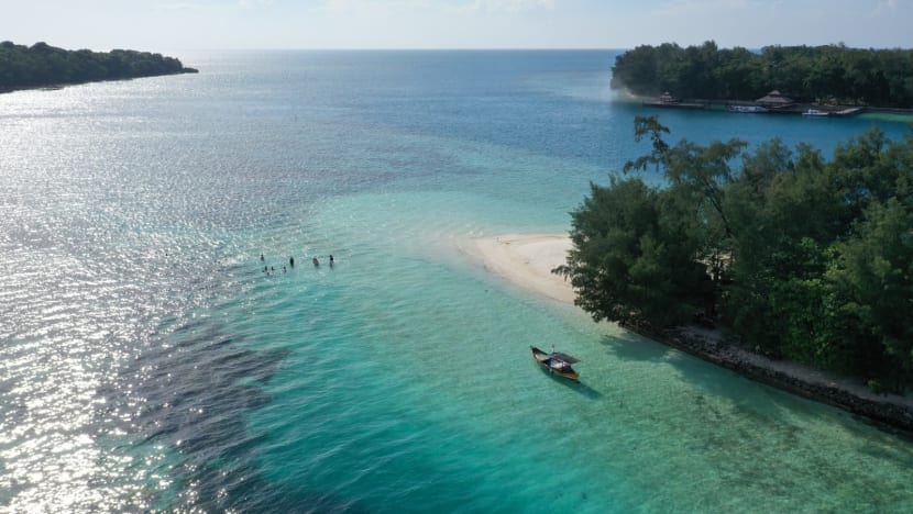 ‘Cat island’ in Java Sea? Jakarta mulls moving stray felines offshore but experts flag concerns ‘Cat island’ in Java Sea? Jakarta mulls moving stray felines offshore but experts flag concerns