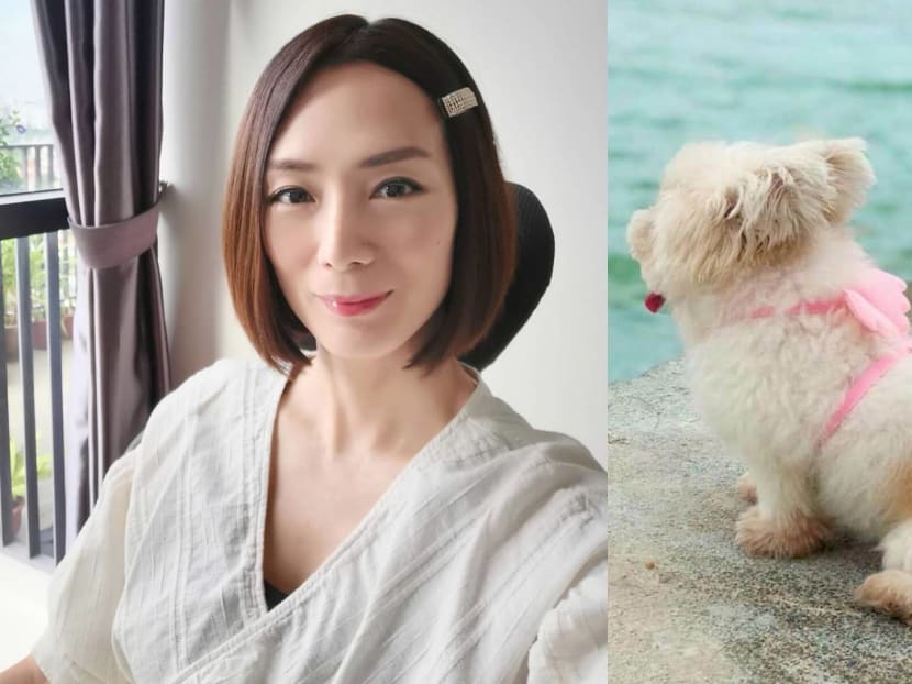 She may have given her pooch away after her divorce in 2018, but it kept a special place in her heart.