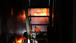 Related article image