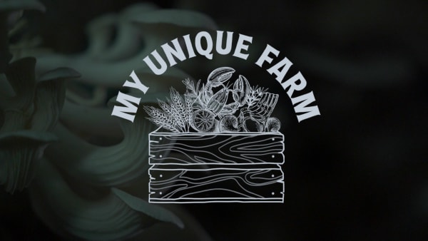 On The Red Dot: My Unique Farm