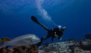 As the UN's High Seas Treaty takes effect, what does it mean for Southeast Asia?