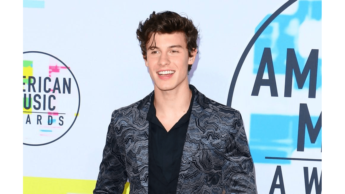 Shawn Mendes wants TV career 8days