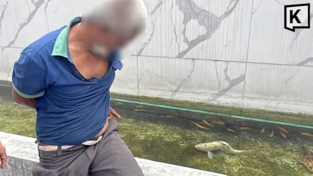 泰国鱼主发现锦鲤接连死亡 调监控揭男子涉虐待