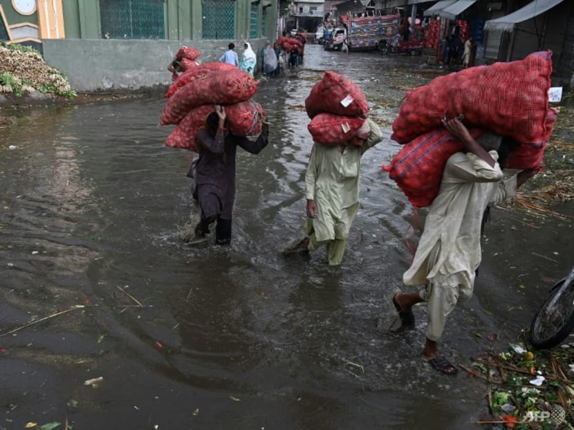 Pakistan floods: Better planning could have limited loss of life, immediate concerns include food security, say experts