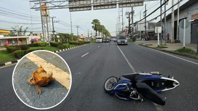 碾过棕榈核失控撞物 泰国摩托车骑士跌死