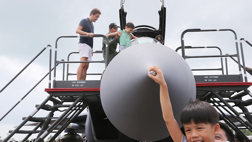 Aerial stunts, aircraft displays delight 80,000-strong crowd at S’pore Airshow
