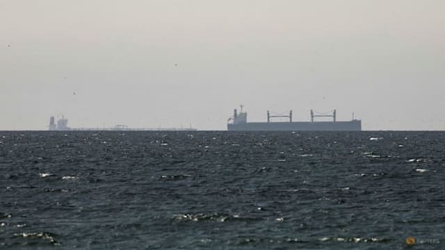 阿努廷：与伊朗达成协议 泰油轮可安全通过霍峡