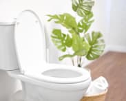 Is going to the bathroom 'just in case' bad for you?