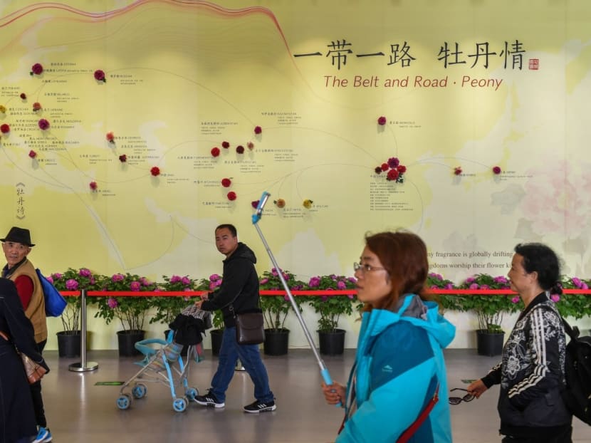 The Belt and Road Initiative encompasses an estimated US$1 trillion of projects – many of which are road and rail links – in more than 125 countries. The Belt and Road Initiative encompasses an estimated US$1 trillion of projects – many of which are road and rail links – in more than 125 countries.