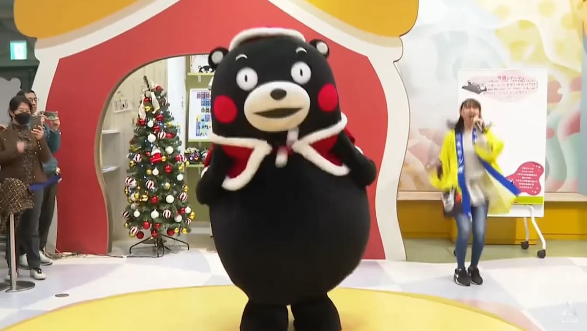 Japan’s tourism sector braces for fallout from diplomatic spat with China, but diverse markets offer cushion