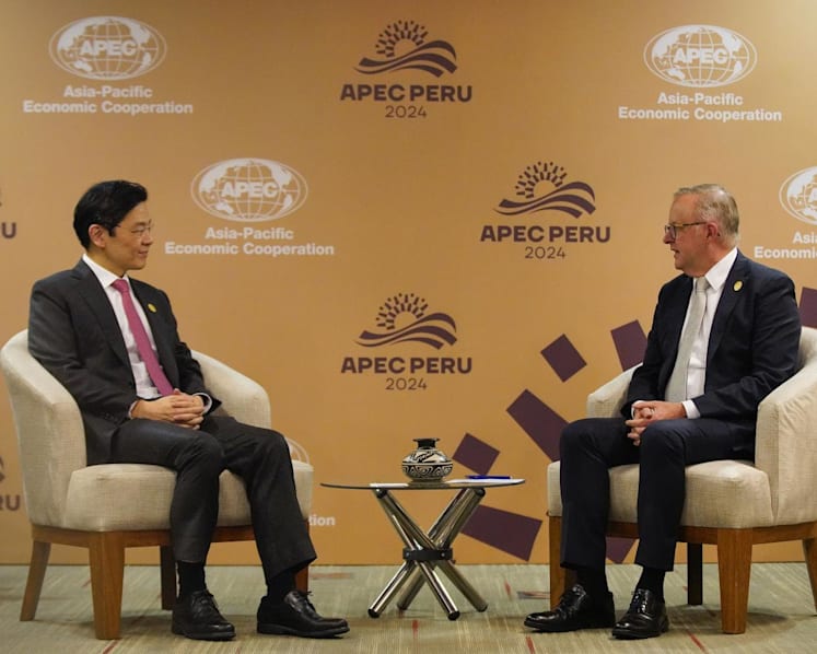 Singapore set to host APEC Summit in 2030