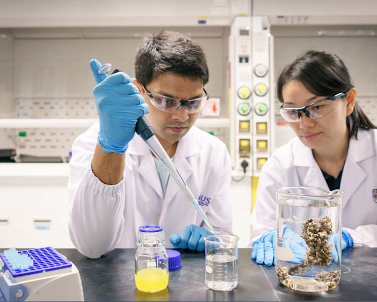 Nanoplastics can accumulate in marine life and threaten human health: NUS study