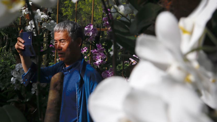 S$35m enhancements to National Orchid Garden by 2019