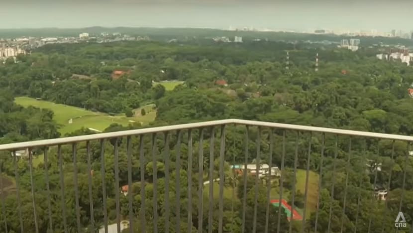 New Year crowds at public housing estate sky gardens: Designated lifts, signs to control situation