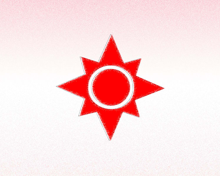GE2020: The National Solidarity Party