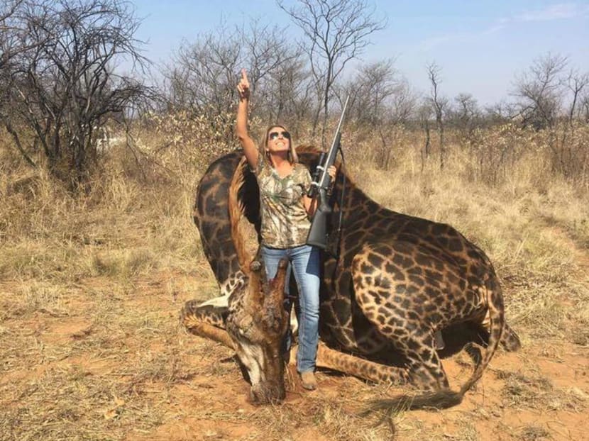 Thousands of Twitter users expressed outrage at Ms Tess Thompson Talley, 37, for killing the giraffe on a hunting trip last summer.