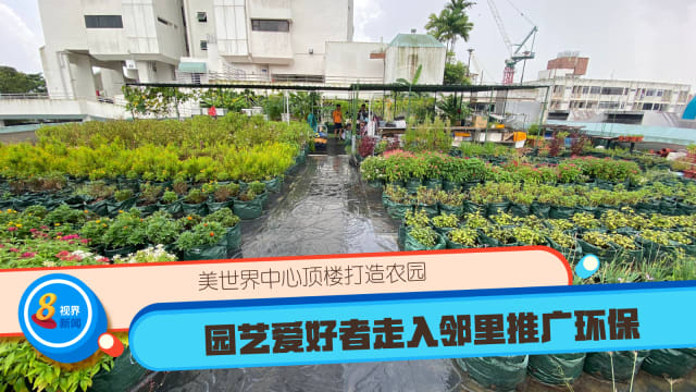 美世界中心顶楼打造农园 园艺爱好者走入邻里推广环保