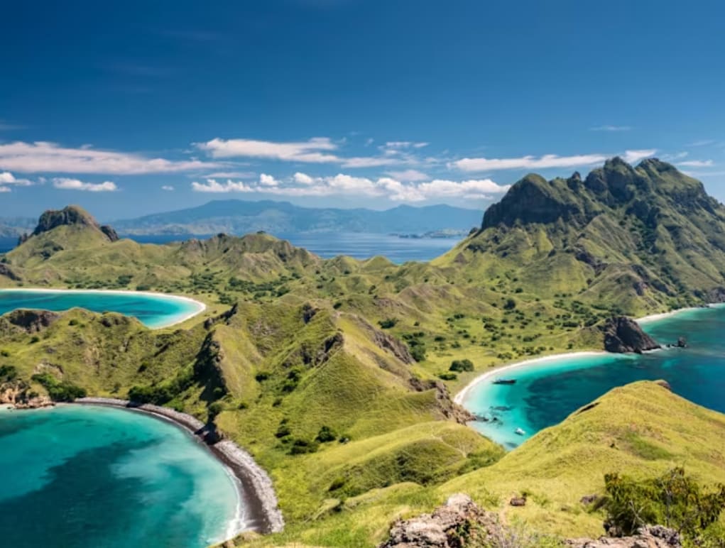 Related article image