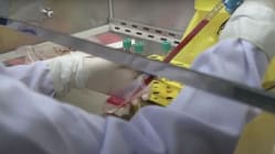 Related article image