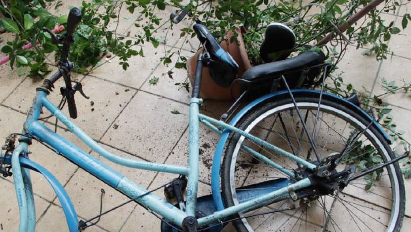 8 months' jail for man who destroyed anti-littering cameras, then threw bicycle from 14th floor of HDB block 8 months' jail for man who destroyed anti-littering cameras, then threw bicycle from 14th floor of HDB block