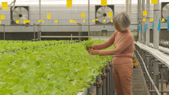 傅海燕：我国粮食策略要在供应充足 稳定和价格之间求取平衡