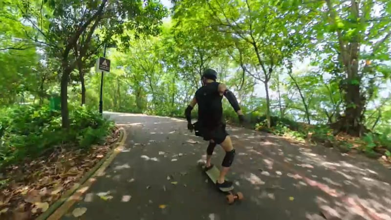 Singapore's Green Connection