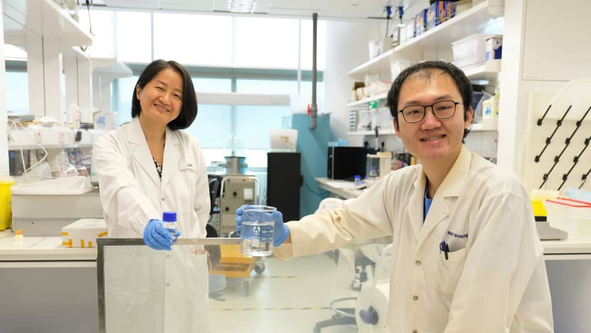 NTU scientists invent energy-saving liquid window