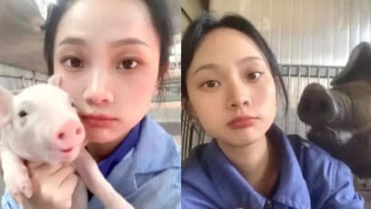 Chinese Woman Has No Regrets Leaving Civil Service To Be Pig Farmer, Says There's Less Stress When "Colleagues Are Not Human"