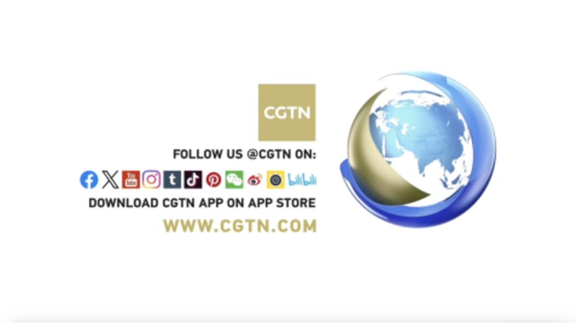 CGTN: China and Serbia Call for Strengthened Artistic Exchanges and Deeper Friendship