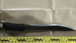 Related article image