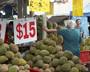 Weather uncertainty looms over durian season as sellers turn to technology to secure supply