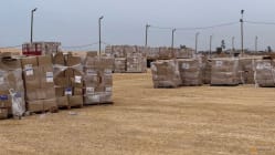 Related article image