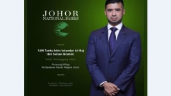Related article image