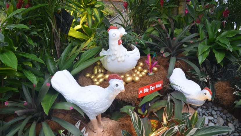 Related article image