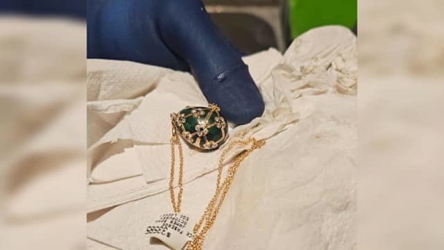 新西兰男吞珠宝吊坠被捕 警方六天后从排泄物取回