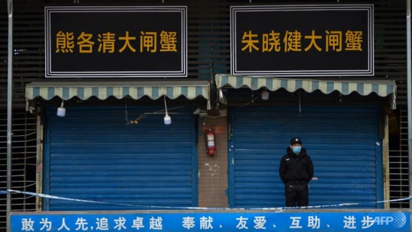Dates, plans of WHO coronavirus mission 'still in negotiations', says China Dates, plans of WHO coronavirus mission 'still in negotiations', says China