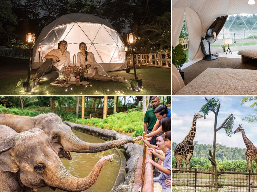 You can staycay at a five-star hotel for the same price, but, you know, it's just not same.