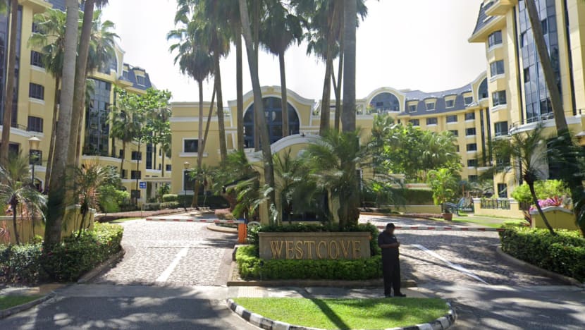 Man dies after falling 20m from condominium roof in West Coast, third workplace death in about a week