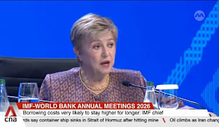 Higher borrowing costs adding to fiscal pressures at time of high debt: IMF