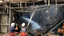 Related article image