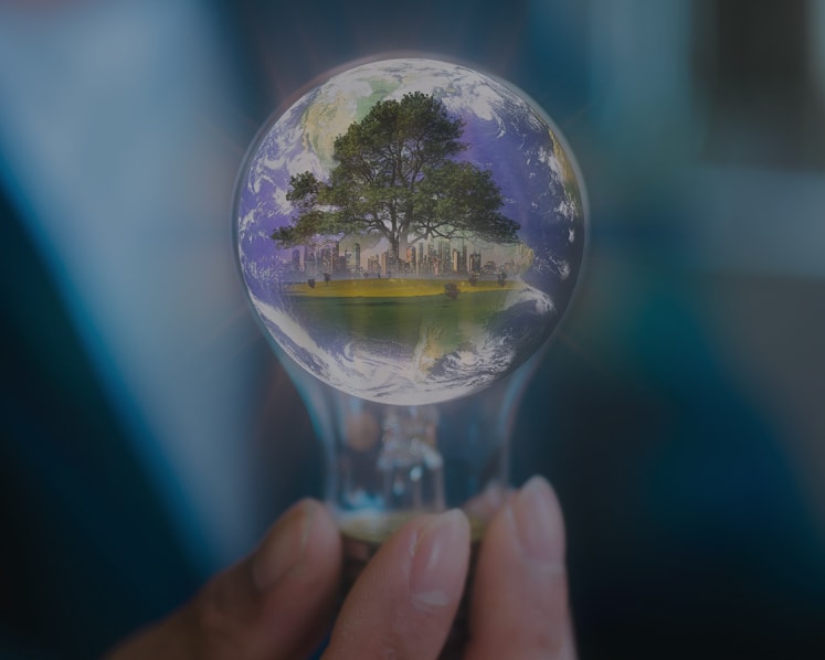 How two innovators won S$1 million each for tackling climate change with breakthrough ideas