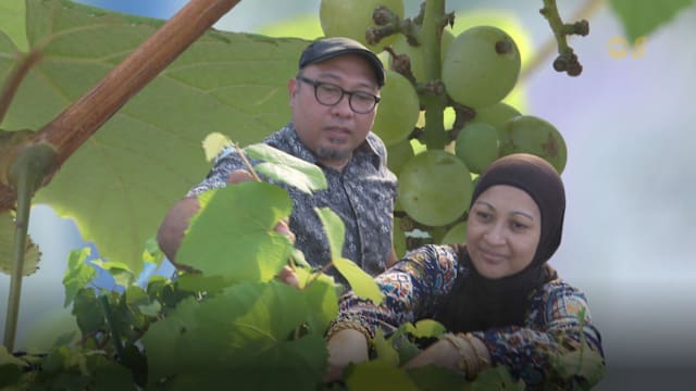  前线追踪  | 停车场顶楼种葡萄 空间再利用