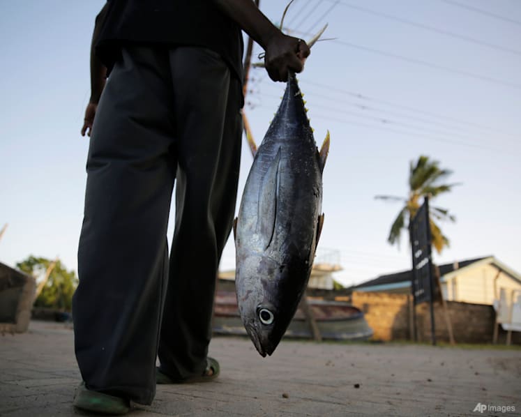 Environmentalists pile on pressure in Indian Ocean tuna row